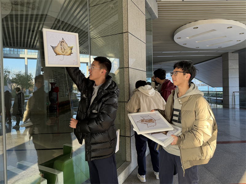 同学们亲自为作品布展.jpg 同学们亲自为作品布展.jpg