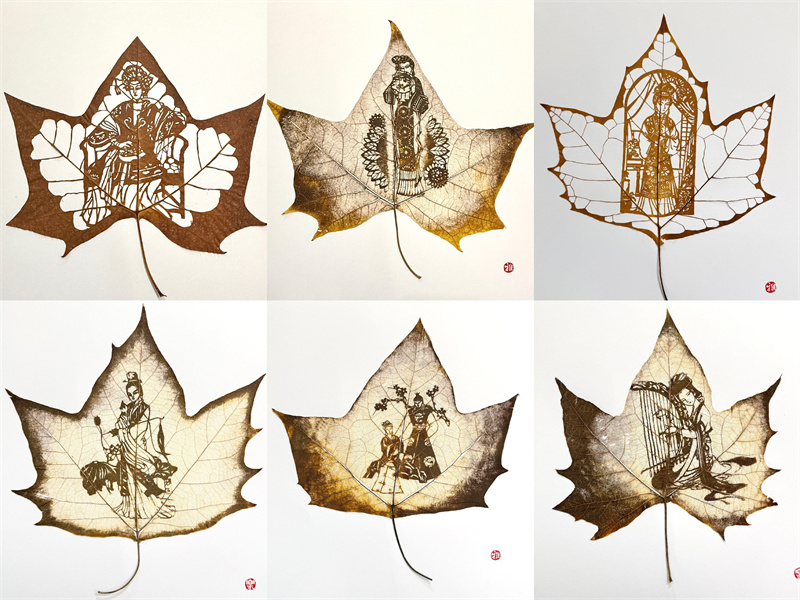 同学们的红楼梦主题叶雕作品(1)(1).jpg 同学们的红楼梦主题叶雕作品(1)(1).jpg