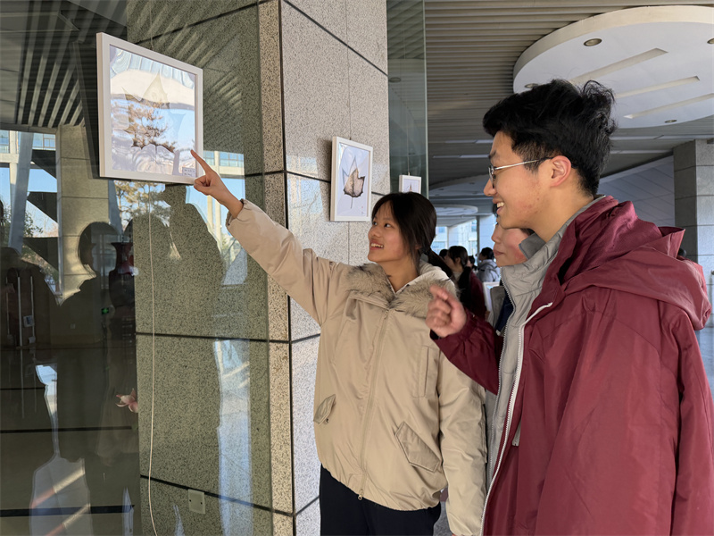 叶雕作品吸引同学们驻足观看.jpg 叶雕作品吸引同学们驻足观看.jpg