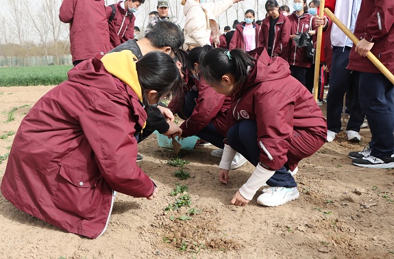 在导师的指导下分组活动.JPG
