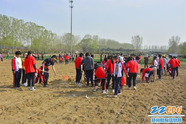 热火朝天的耕种现场