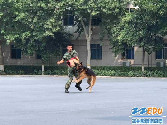 点击查看原图