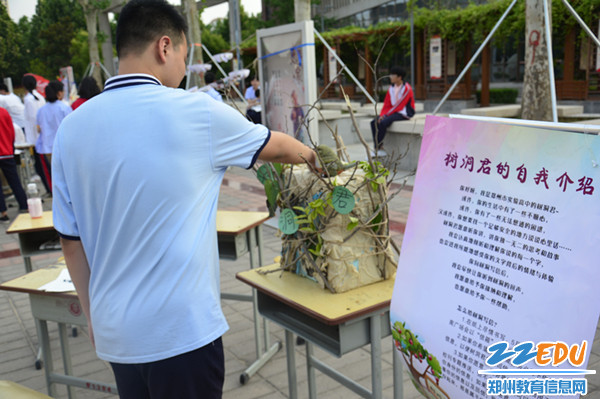 同学们将内心的感受以信件的方式交于“树洞君”