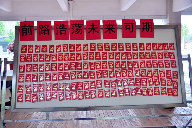 被红包布置满的展板.jpg