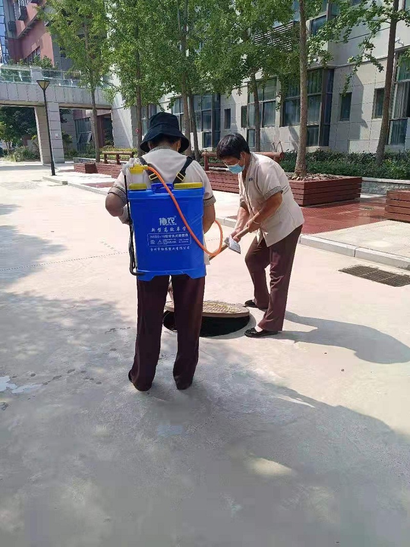 保洁人员对下水井口进行消杀.jpg