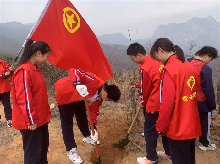 1志愿者们挖坑培土.jpg