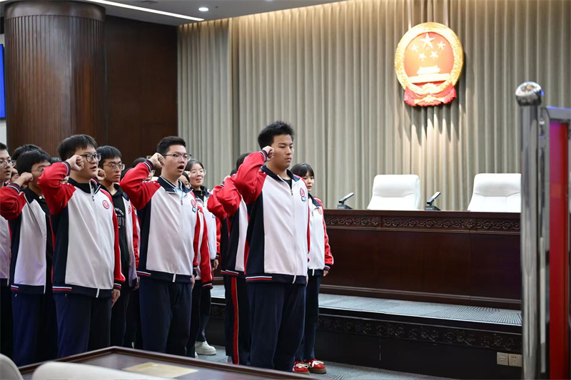 同学们进行宪法宣誓.jpg