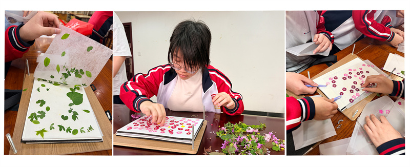 同学们精心压制花材.jpg