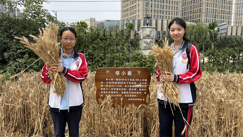 4学生代表领取金黄麦穗寓意丰收.jpg